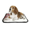 thumbnail image 2 of PKQWTM Flowers Pet Dog Cat Bed Pee Pads Mat Cushion Potty Dogsblankets Crate Bed Kennel 14x18 inch, 2 of 3