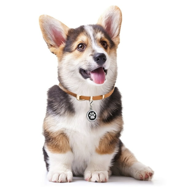 Personalized pet cheap tags walmart
