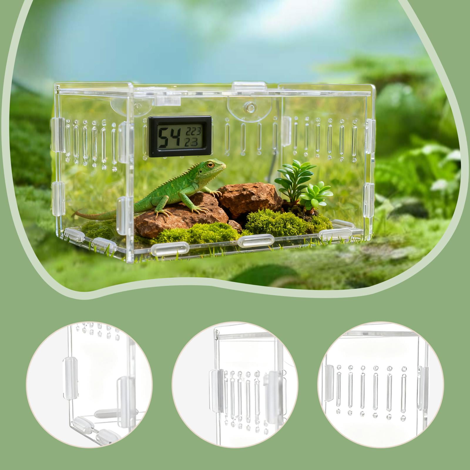 Reptile Terrarium Spider Cage Acrylic Enclosure Tarantula Container Sturdy Transparent Home Use