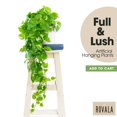thumbnail image 2 of Planta Pothos de seda artificial ROVALA para decoración del hogar e interiores, 2 of 8