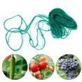 thumbnail image 4 of Soportes para plantas trepadoras, juego de redes, soporte para fresas, red trepadora de ratán, soporte para plantas, 4 of 7