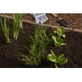 thumbnail image 6 of Ground Essentials Garden Compost, Organic Soil, 1 cu. ft., Brown, 6 of 8