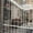 042clear-39"W x 78.7"L (Pack of 1), variant on Beaded String Curtains 042coffee 39"W x 78.7"L (Pack of 1) Room Divider Decor