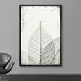 thumbnail image 2 of wall26 Framed Canvas Print Wall Art Transparent Black &amp; White Leaf Trio on Grunge Background Floral Nature Illustrations Modern Art Rustic Dramatic for Living Room, Bedroom, Office - 16"x24&, 2 of 5