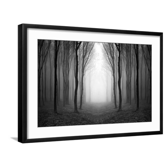 Art.com Dark Woods Photographic Print by PhotoINC, Black Frame Wall Art, 29" x 21"
