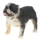 thumbnail image 4 of Modelo de Animal de Plástico de Juguete de Negro de Emulación para Decoración para hogar de Yotijar Figuras de animales de juguete, 4 of 9