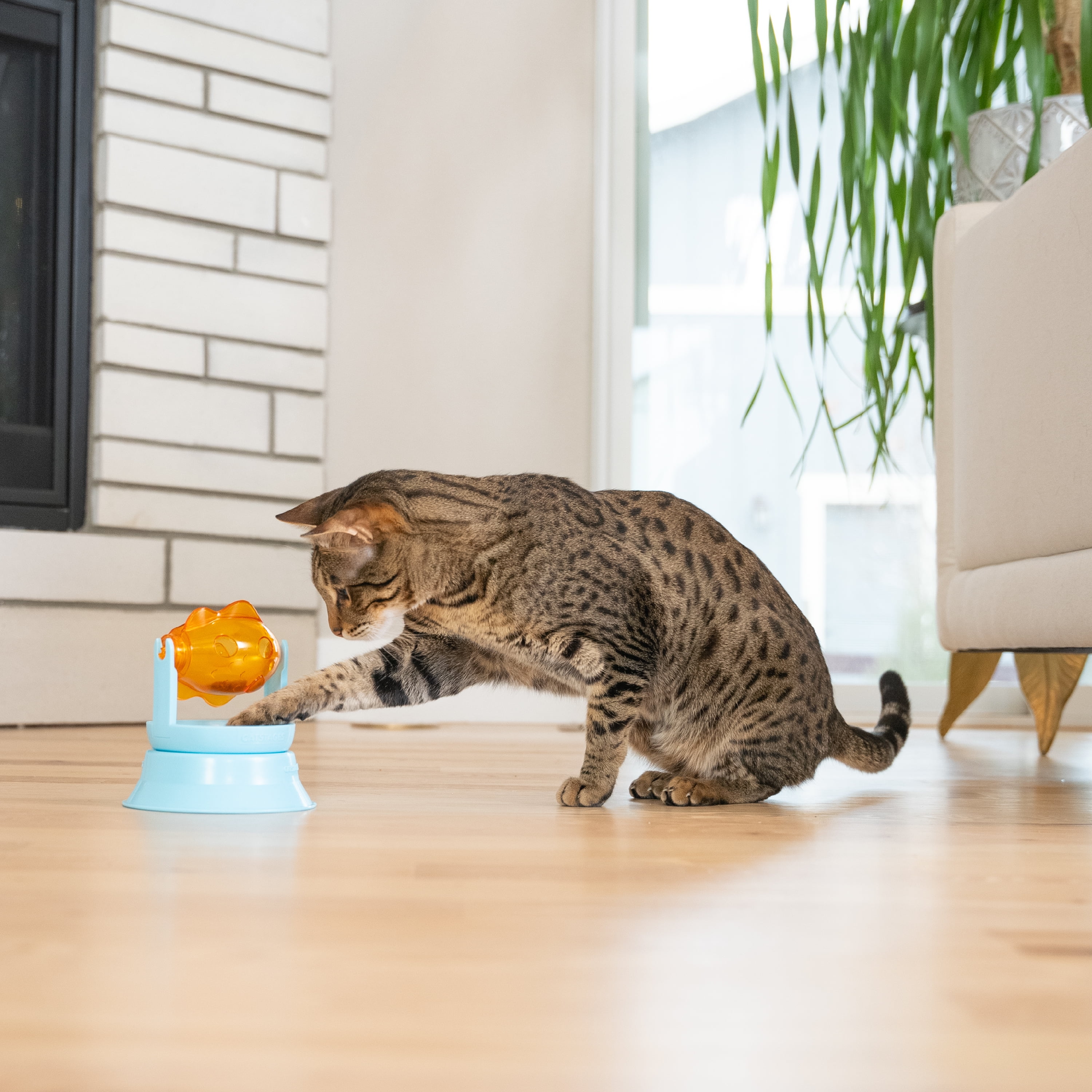 Catstages 2-in-1 Spinning Fish Treat Dispenser Cat Toy – Interactive Puzzle Feeder & Cat Ball Track Add-On, Blue