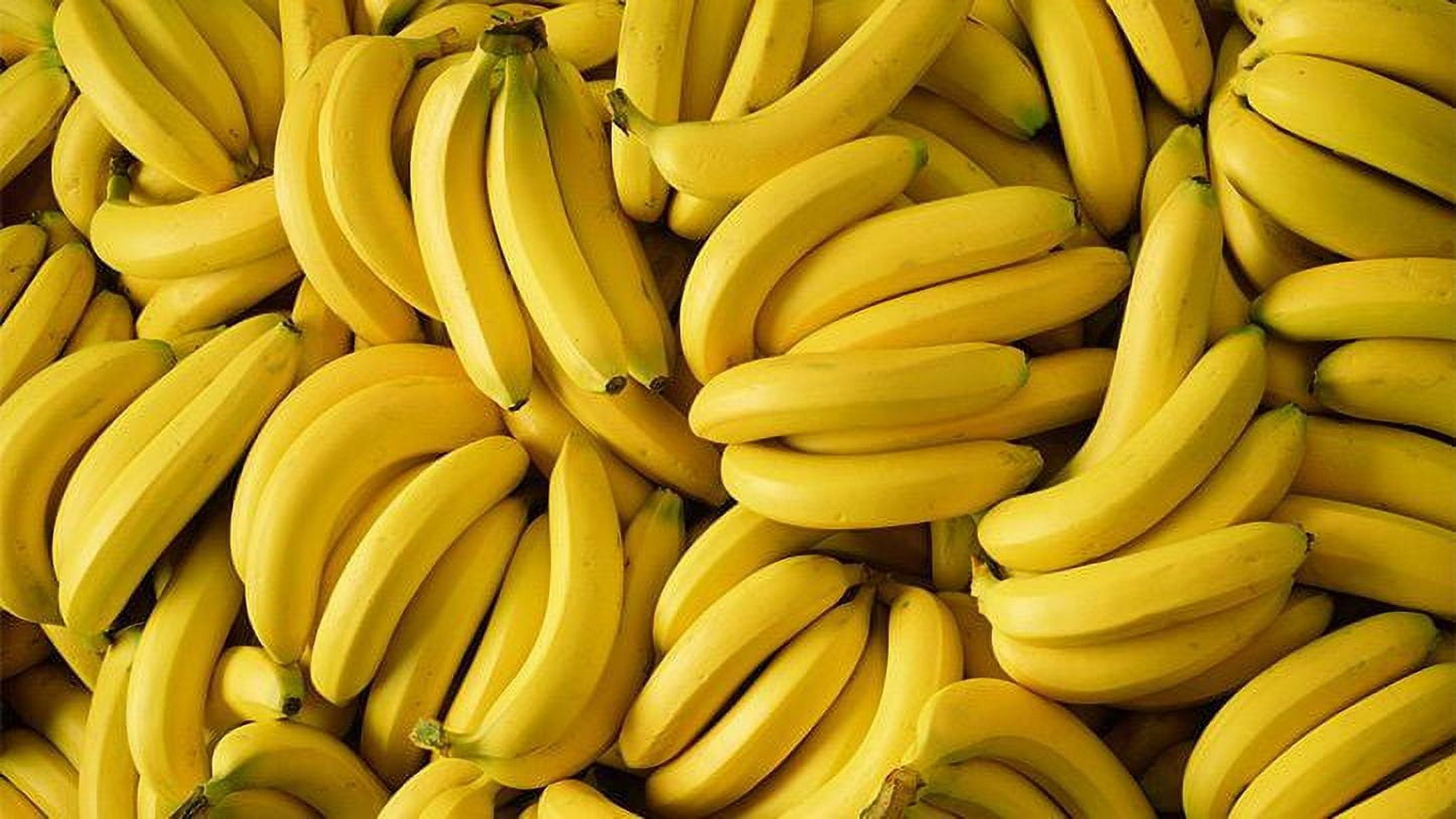 Fresh Banana, Each