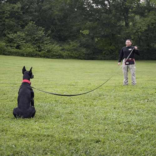 Twenty Foot Leash