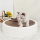 thumbnail image 2 of Juguetes para gatos, tabla rascadora para gatos, amoladora de garras corrugada, suministros para gatos, tabla rascadora resistente al desgaste, juguetes para garras, suministros para mascotas, verde, 2 of 5