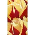 thumbnail image 2 of Poelstra-Holzhaus, Yvonne 20x32 White Modern Wood Framed Museum Art Print Titled - Arti Tulip II, 2 of 4