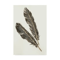 Trademark Fine Art 'Gold Feathers III' Canvas Art by Chris Paschke