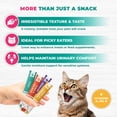 thumbnail image 2 of Beloved Pets Creamy Lickable Cat Treats & Wet Food Squeeze Tubes – Liquid Kitten Snacks, Urinary Health Support, Multivitamin Treats for Cats & Small Dogs, Lick Up 40 Sticks Tuna Mix, 2 of 8