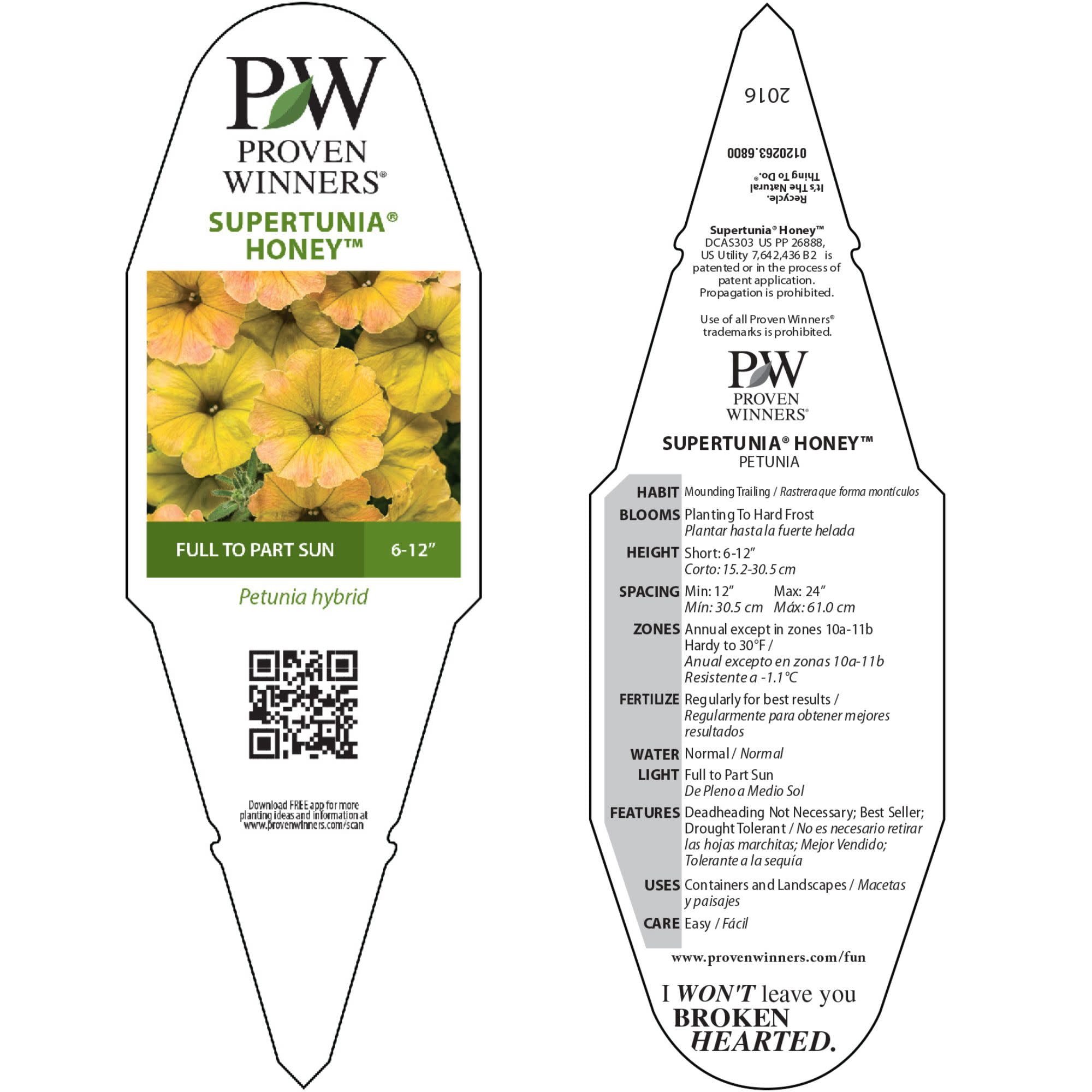 Proven Winners 4" Yellow Supertunia Honey Petunia Live Plant in 4.25" Pot (4 Count)