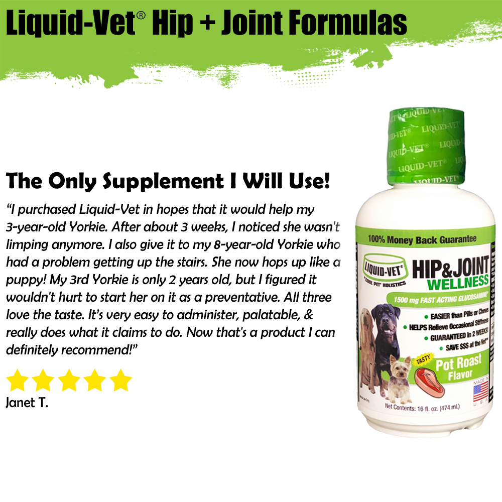 liquid vet joint support