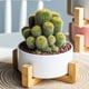 thumbnail image 5 of Macetero Soporte de Madera Ilios Innova XM15G-M Color Blanco, 5 of 5