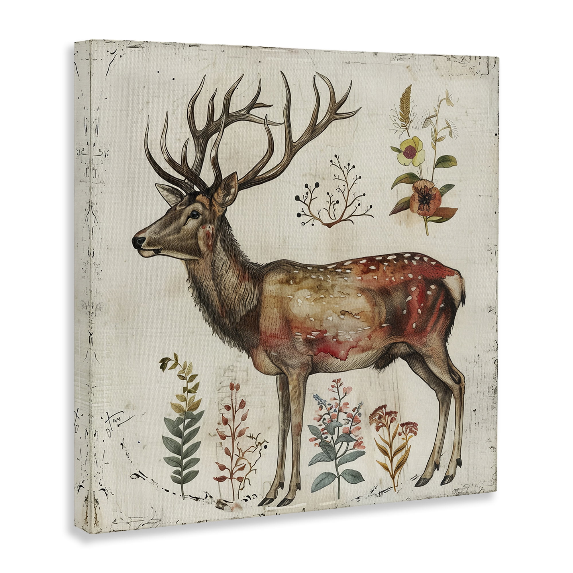Stupell Industries Forest Elk with Botanicals Animals & Insects Painting Gallery Wrapped Canvas Art Print Wall Art, 36 x 36