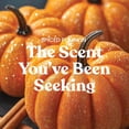 thumbnail image 3 of Yankee Candle SPICED PUMPKIN  Car Powered Fragrance Diffuser Refill, 3 of 5