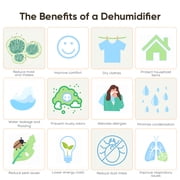 AIRFIRE 12 Pints Dehumidifiers (DOE), up to 1500 Sq.Ft Dehumidifier with Drain Hose, 0.59 Gal Water Tank, Overflow Protection, Dehumidifiers for Home Basement Bedroom Bathroom Laundry Room