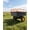 Black+Orange+Orange, variant on Senfot Black Frame Red Raised Fence Red Spoke Wheel Q235 Elevated Garden Utility Cart 750 LBS Load for Outdoor Farm Yard Cargo Transport