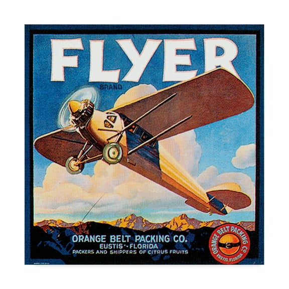 Trademark Fine Art 35x35 Still Life Canvas Wall Art 'Flyer' by Vision Studio