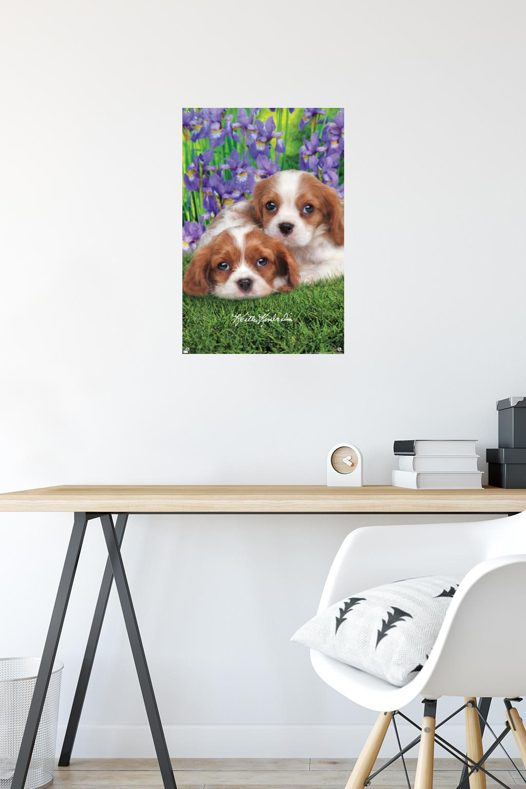 Keith Kimberlin - Cavalier King Charles Puppies Wall Poster with Pushpins, 14.725" x 22.375"