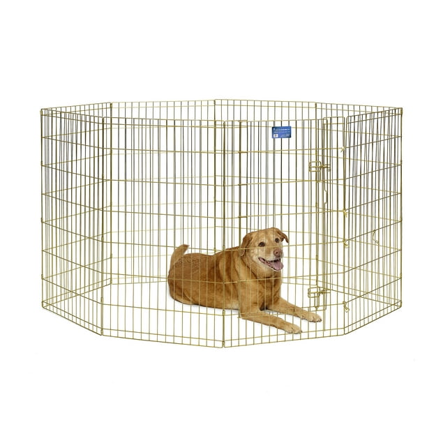 MidWest Homes For Pets Metal Exercise Dog Playpen No Door, Gold, 42"H
