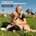 thumbnail image 4 of Dog Training Collars for 3 Dogs, Dog Shock Collar with Remote 3300ft, 4 Modes Beep Vibration Shock, Waterproof, LED Light for Training Small Medium Large Dogs, 4 of 8