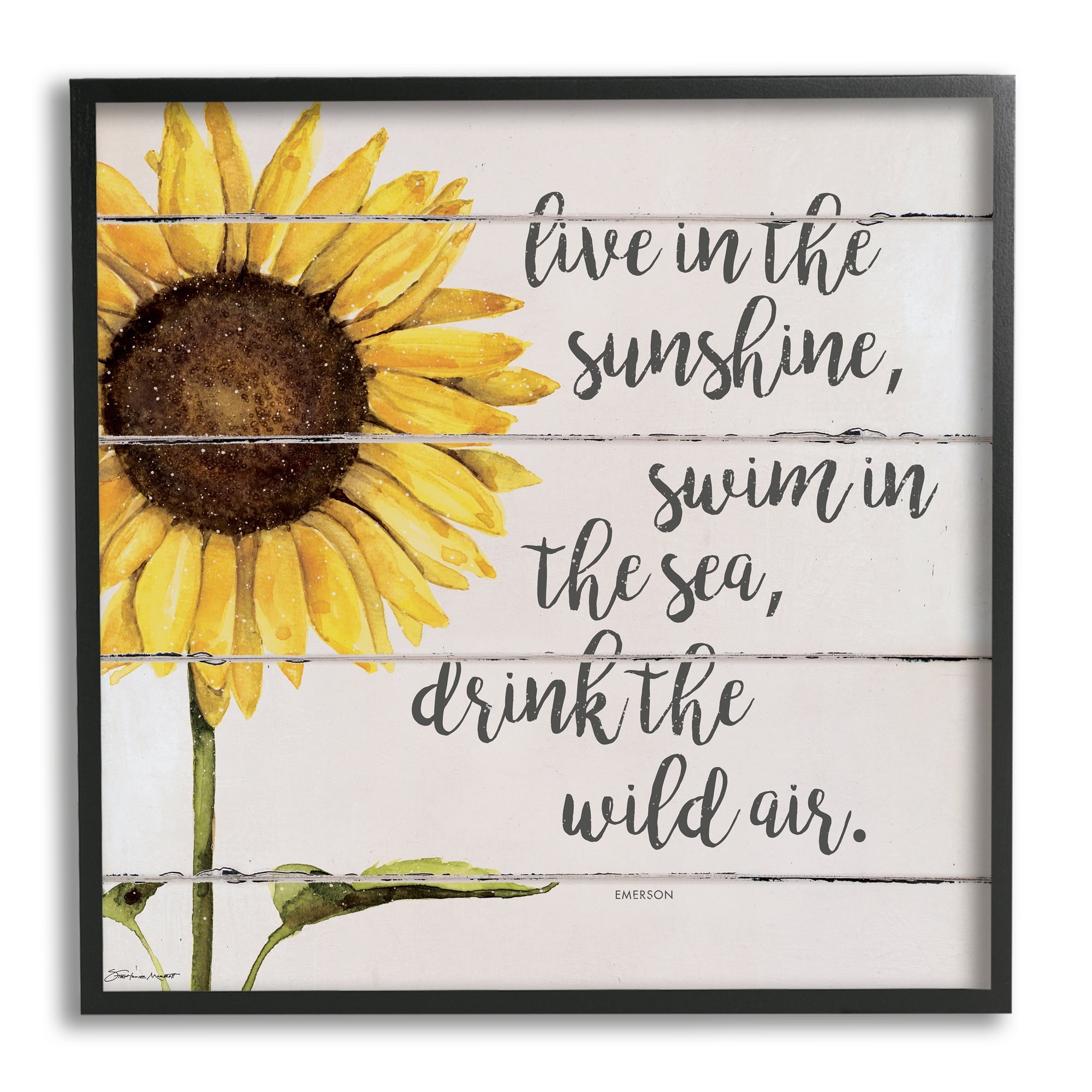 Stupell Industries Live In Sunshine Drink Wild Air Phrase Sunflower, 24 x 24, Design by Stephanie Workman Marrott
