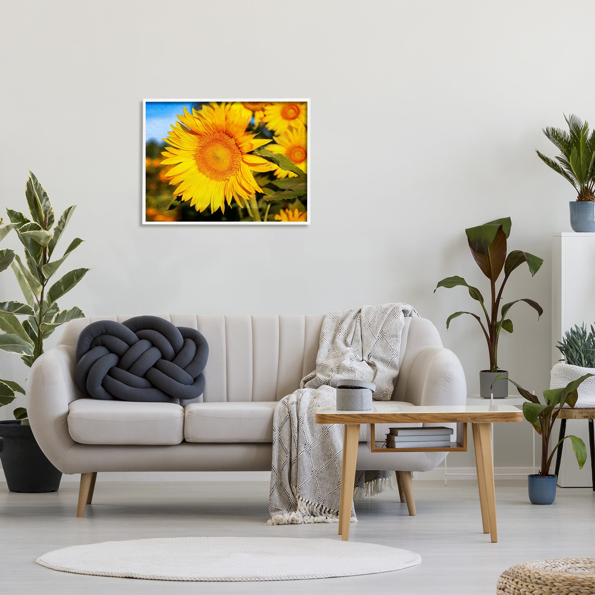 Stupell Industries Country Sunflower Photography Botanical & Floral Photography White Framed Art Print Wall Art, 30 x 24