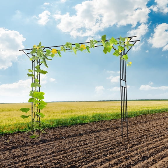 ToppiJoy Garden Trellis Supersize Flattop Garden Arch for Wedding, Garden Arch Arbor Trellis for Climbing Plants Outdoor 11.81*1.31*8.86ft(Black)