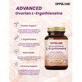 thumbnail image 2 of Oppuland Gold Advanced Ovarian L-Ergothioneine – 120 Veggie Capsules – Hormonal Balance, Reproductive Health & Antioxidant Support, 2 of 5