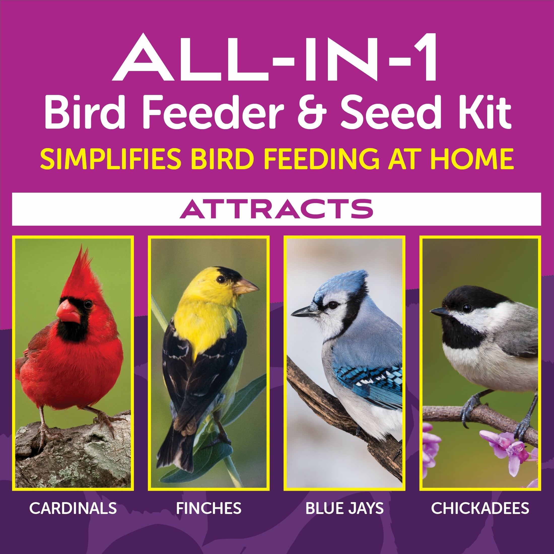Pennington Natures Friend 3lb Capacity  Wild Bird Starter Kit with Bird Feeder and Feed