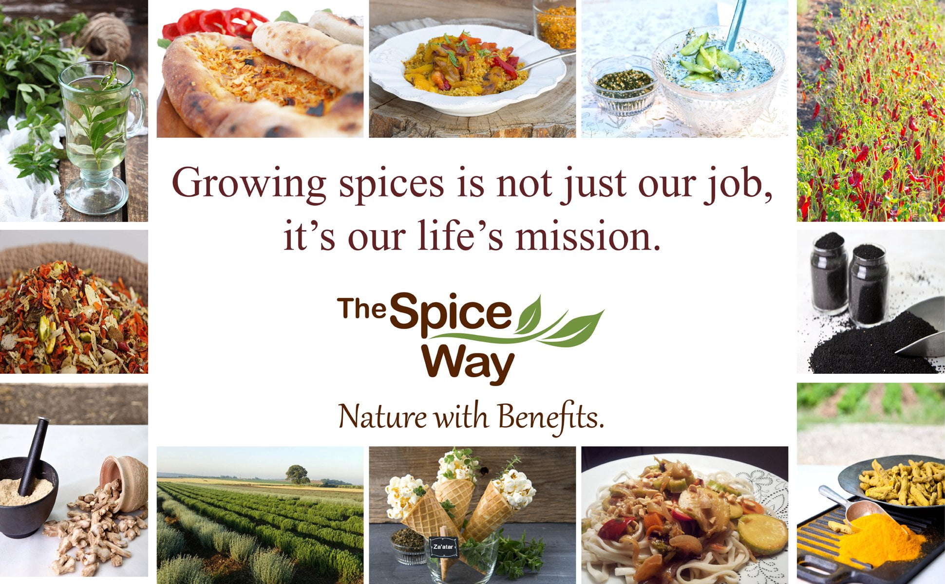The Spice Way Real Za'atar Spice Blend - 2 Oz, With Genuine Hyssop & Sumac, No Additives, Authentic Middle Eastern