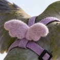 thumbnail image 7 of mdesiwst Bird Flight Harness with Leash Adjustable Parrot Flying Harness Cute Angel Wings Harness for Parrots Pigeons Lovebird Budgerigar Cockatiel Outdoor Training, 7 of 7