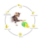 thumbnail image 5 of Juguetes De Vaso De Varita Con Pluma Y Bola, Juguetes Interactivos Para Gatos, Resortes Para Gatos, Palo De Burla Con Plato Giratorio Para Gatos De Interior seitruly PT001702-01, 5 of 7