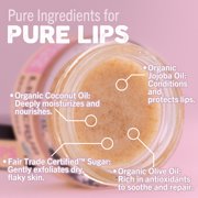Eco Lips Organic Exfoliating Sugar Lip Scrub, Brown Sugar, Vanilla Bean, Mint, Mint Truffle 4 Pack Variety, 0.25 oz. jars