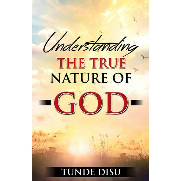 Understanding The True Nature of God (Paperback)