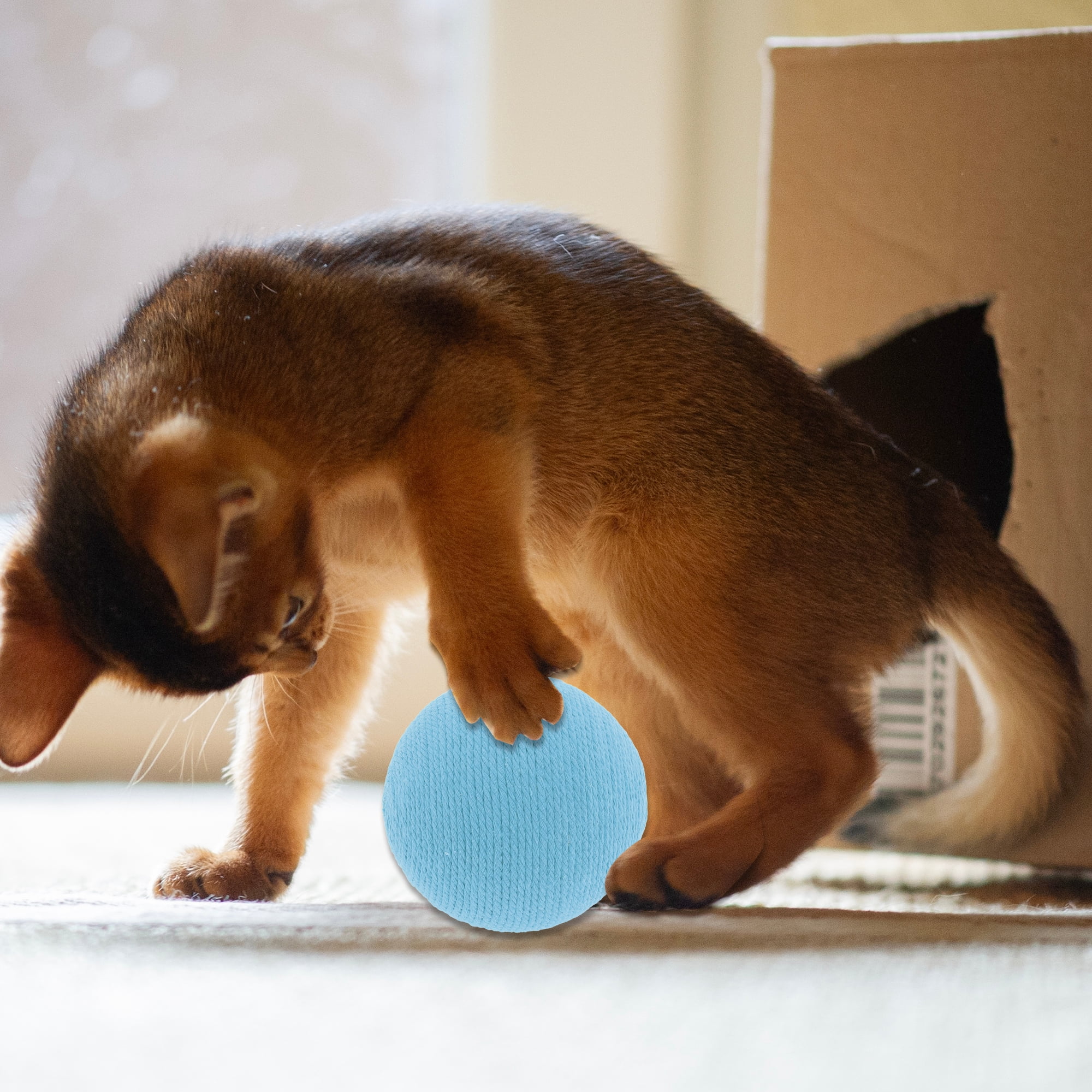 Unique Bargains Playing Ball with Bell for Cat Playtime Blue