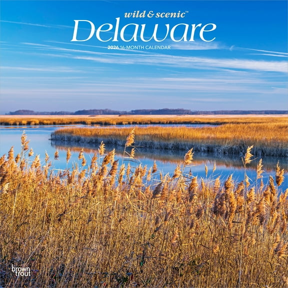 Delaware Wild & Scenic | 2026 12x24" (Hanging) Wall Calendar | Plastic-Free