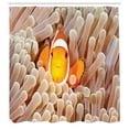 thumbnail image 3 of Ambesonne Ocean Shower Curtain, Bali Indonesia Fishes, 69"Wx84"L, Beige Orange, 3 of 5