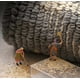 thumbnail image 2 of Indoor Door Mat,non-slip Absorbent Resist Dirt Entrance Rug, 2 of 5