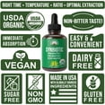 thumbnail image 3 of Organic Synbiotic = Prebiotics + Probiotics + Postbiotics 3-in-1 Supplement for Women, Men, & Kids. Pre, Pro, & Post Biotics Liquid Drops for Gut + Microbiome Balance. Made in USA, Vegan, Zero Sugar, 3 of 7
