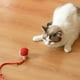 thumbnail image 3 of Juguete Interactivo para Perros Advancent Pelota Interactiva para Gatos Gris, 3 of 6