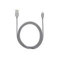 thumbnail image 2 of iStore - Câble Lightning - USB Mâle vers Lightning Mâle - 4 Pi - Gris Cosmique, 2 of 5