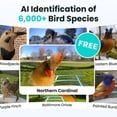 thumbnail image 4 of Bird Feeder with Camera, Netvue Birdfy Smart Bird Feeder with Lifetime AI for Bird Watching, Blue, 4 of 10