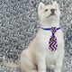 thumbnail image 4 of Independence Day Pet Tie Cats Dog Pet Tie Accessorie, 4 of 6