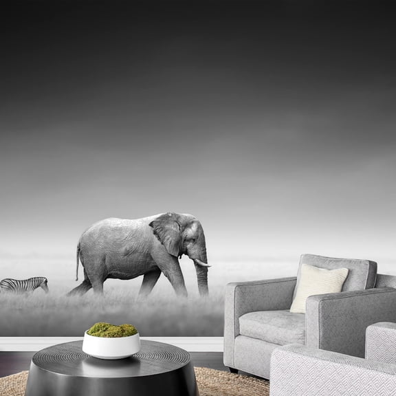wall26 - Elephant with Zebra Behind on Open Plains of Etosha Artistic Processing - Removable Wall Mural | Self-Adhesive Large Wallpaper - 66x96 inches