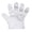 Clear, variant on 200 PCS PE Clear Disposable Gloves Plastic Gloves Large Poly Gloves Hair Coloring Food Service Gloves for Cooking Kitchen Cleaning Food Handling Food Prep Gloves Disposable Free Gloves