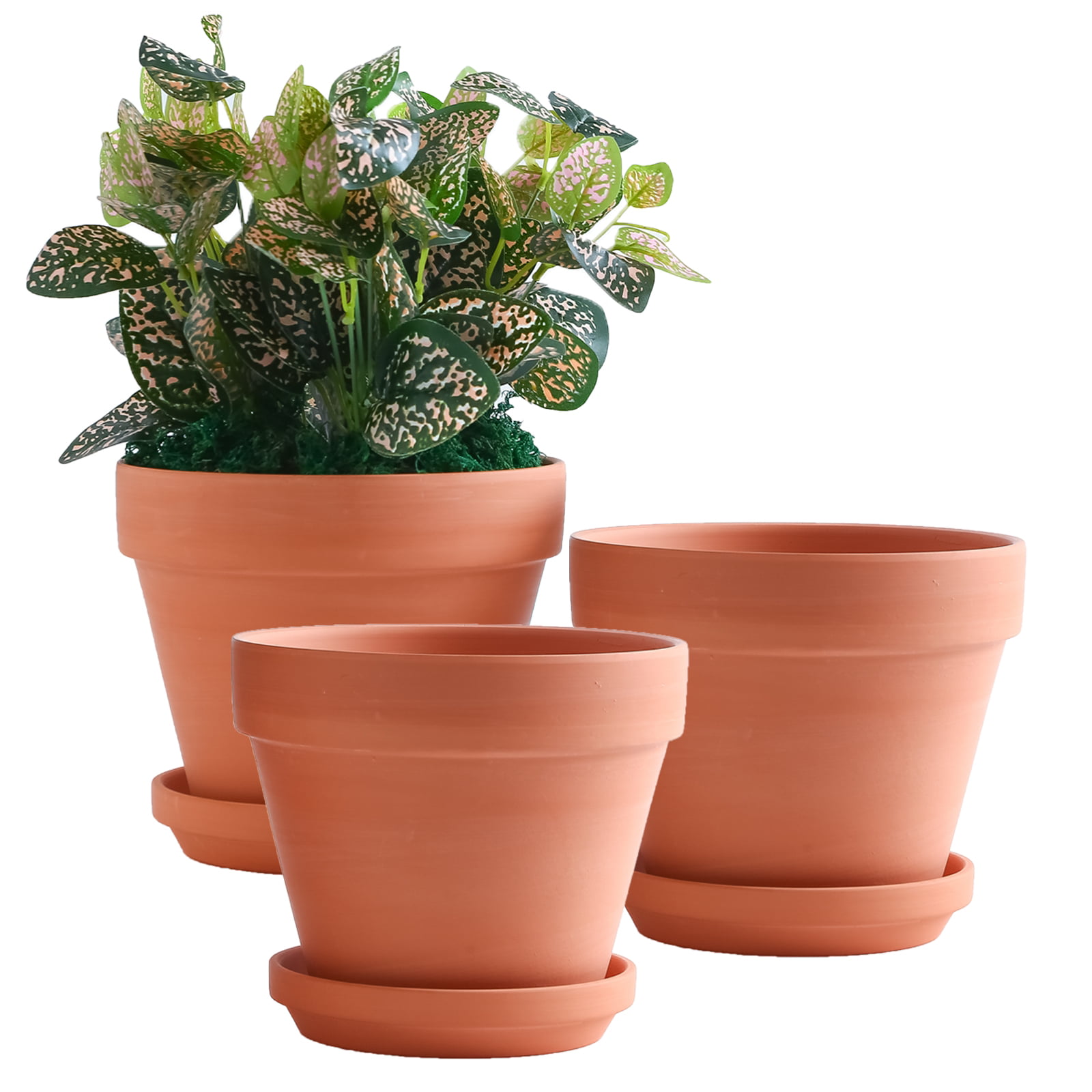 YISHANG 8 Inch Clay Pot for Plant with Saucer - 3 Pack Large Terra 